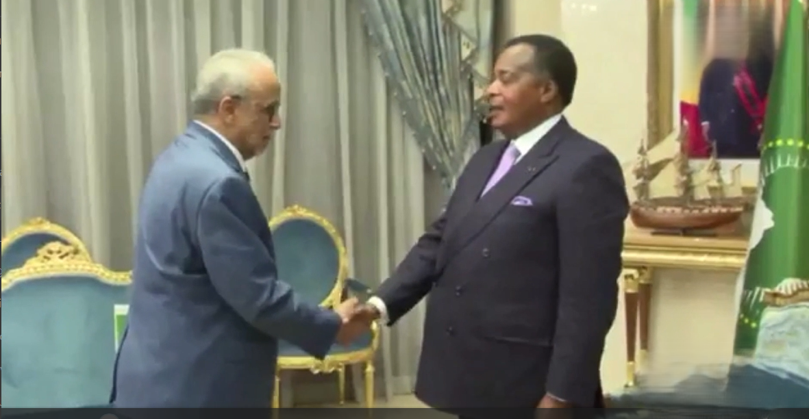 OIF : Brazzaville sollicitée pour soutenir la candidature mauritanienne de Koumba Ba